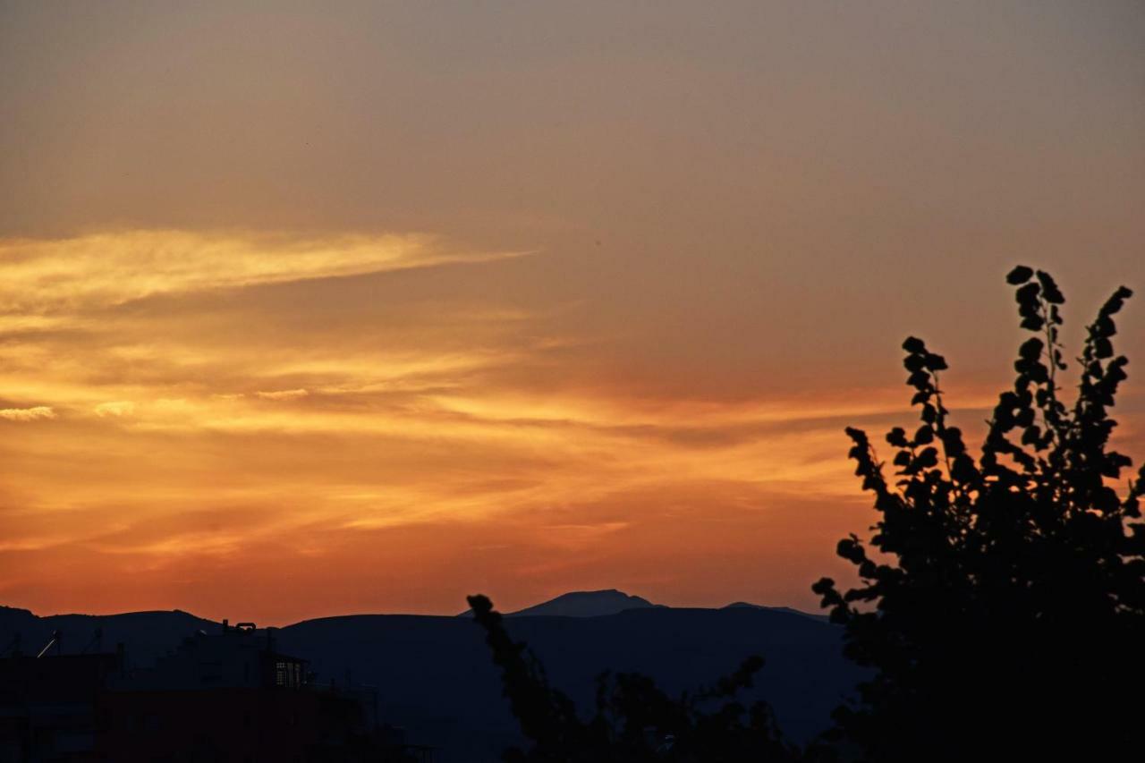 Bed and Breakfast Eagles Philadelphia Korce Esterno foto