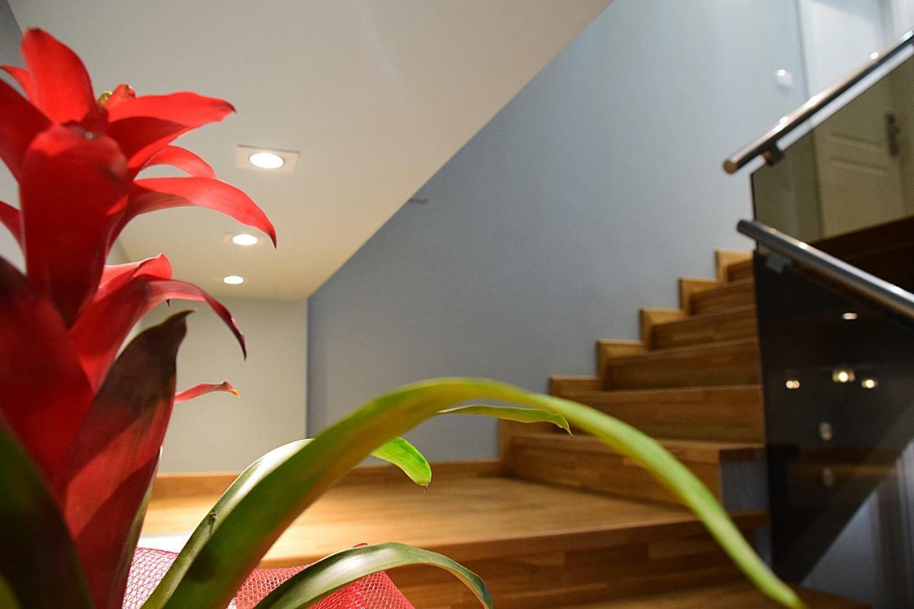 Bed and Breakfast Eagles Philadelphia Korce Esterno foto